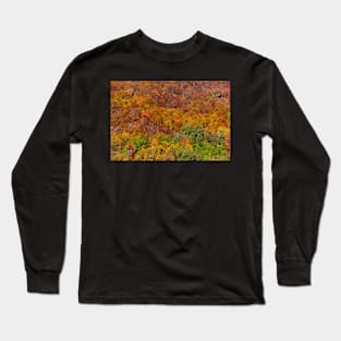 Colorful autumnal landscape Long Sleeve T-Shirt